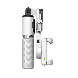 گیمبال استبلایزر گرین لاین پالرمو Green Lion Palermo Gimbal GNPALXV4GMLWH