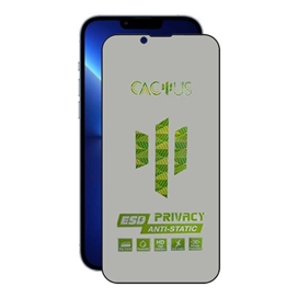 محافظ صفحه نمایش حریم شخصی اپیکوی مدل Cactus-ESD-Privacy مناسب برای گوشی موبایل Apple iPhone 13