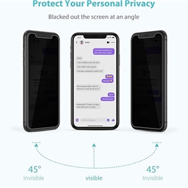 محافظ صفحه نمایش حریم شخصی اپیکوی مدل Cactus-ESD-Privacy مناسب برای گوشی موبایل اپل Apple iPhone 11 Pro