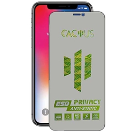 محافظ صفحه نمایش حریم شخصی اپیکوی مدل Cactus-ESD-Privacy مناسب برای گوشی موبایل اپل Apple iPhone 11 Pro