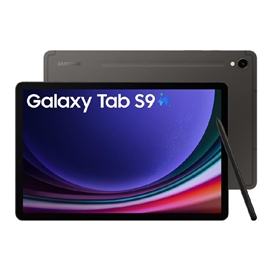 کاور Outdoor سامسونگ Samsung outdoor cover galaxy tab s9 plus EF-RX810