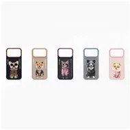 قاب برند نیمی مدل Nimmy Glasses Case Series مناسب برای Apple iPhone 17 Pro Max